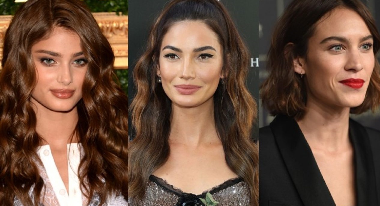 What Color Highlights Will Be Good For Brown Hair? | Women Now